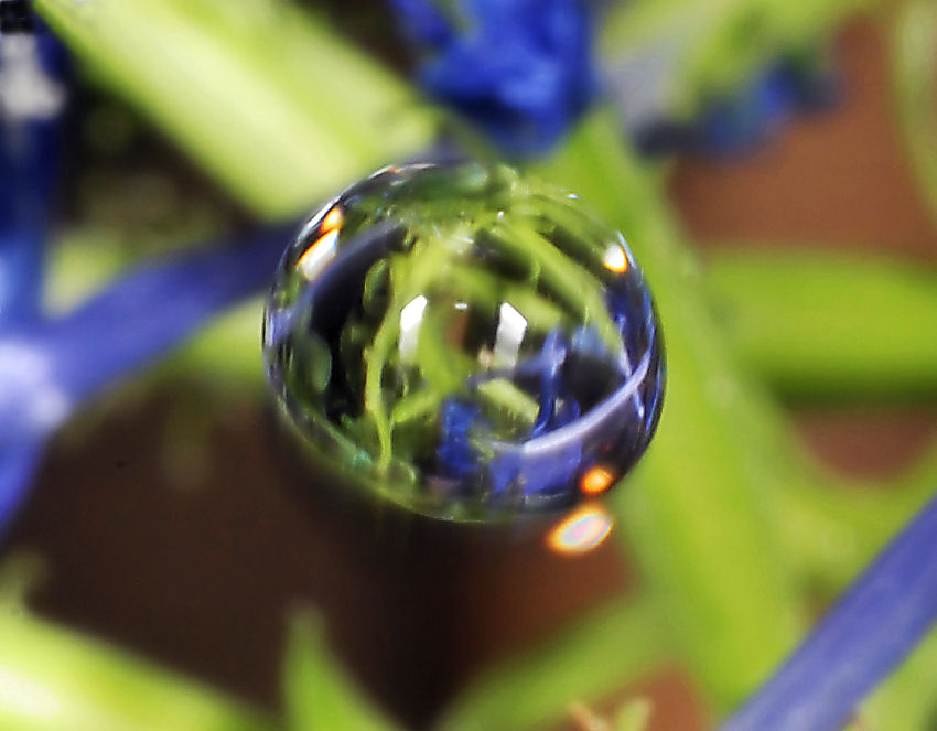 Sfocato......nitido?.....ambedue.....